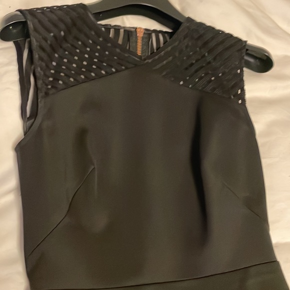 Ted Baker Eleese Mesh Detail Skater Dress - Picture 5 of 11